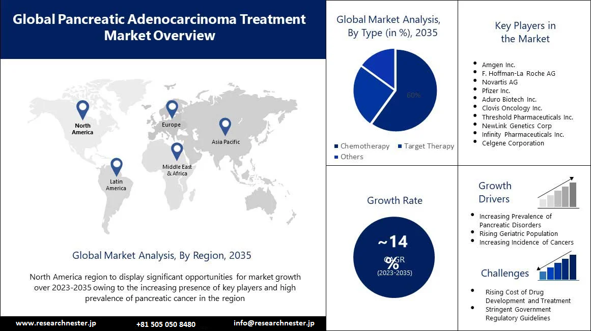 Pancreatic Adenocarcinoma Treatment Market (1)
